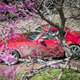 Image for article titled The 2017 Mazda Miata RF Still Isn't Practical At All But You Won't Care